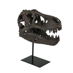 T-Rex Dinosaur Skull Mounted Tyrannosaurus Rex Fossil Statue